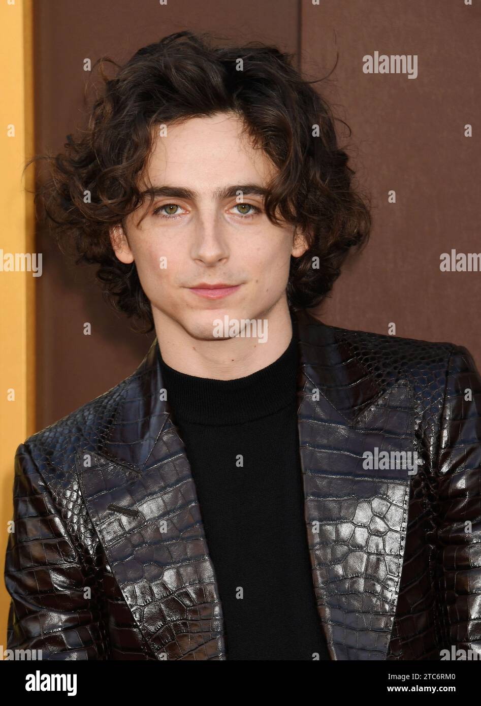 LOS ANGELES, CALIFORNIA - DECEMBER 10: Timothée Chalamet attends the ...