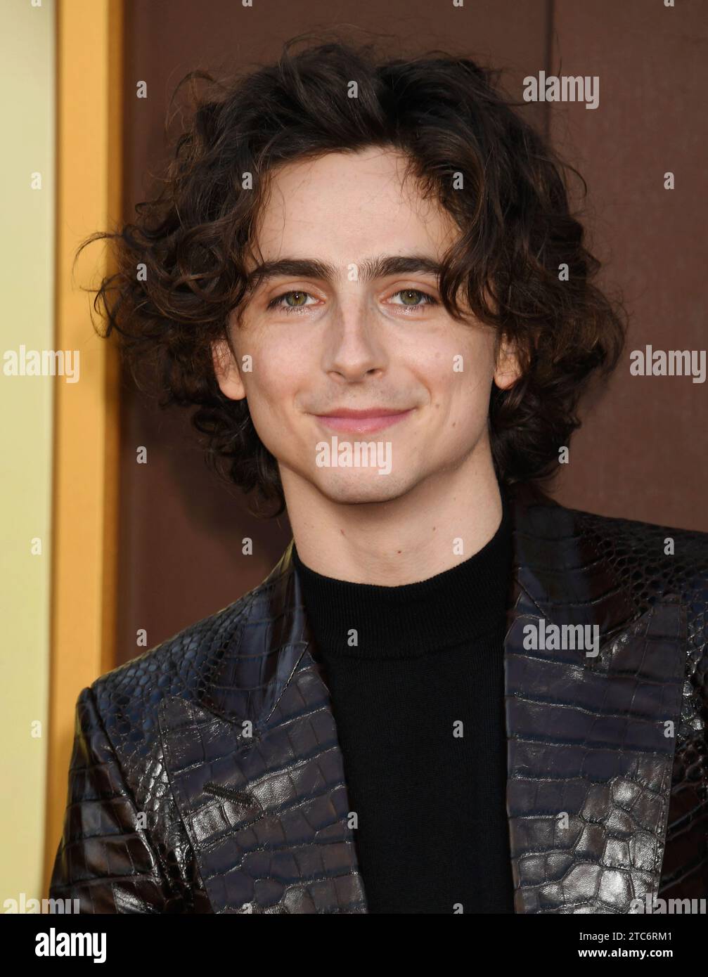 LOS ANGELES, CALIFORNIA - DECEMBER 10: Timothée Chalamet attends the ...