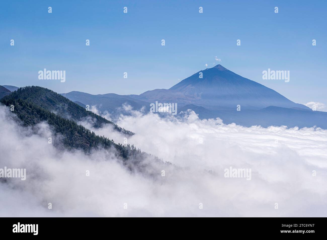 Cloud inversion on the slopes of Mount Teide, Tenerife, Spain, which are covered in pine trees Stock Photo