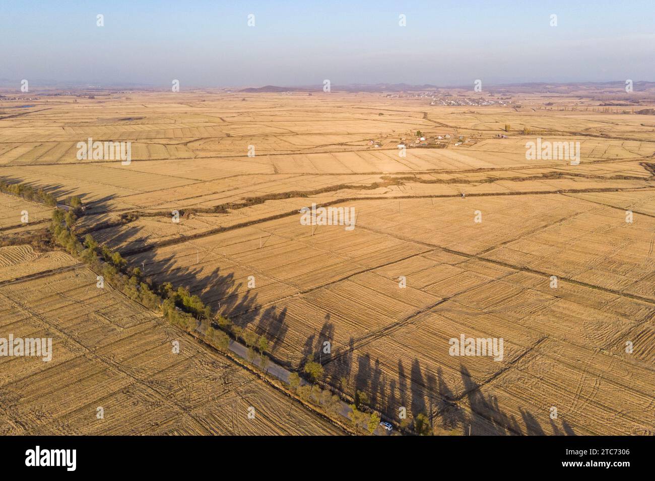 Beijing, China. 18th Oct, 2023. This aerial photo taken on Oct. 18, 2023 shows fields in Shangzhi City, northeast China's Heilongjiang Province. China's grain output rose 1.3 percent year on year to a record high of 695.41 million tonnes in 2023, data from the National Bureau of Statistics (NBS) showed Monday. This is the ninth consecutive year for China to register a grain harvest of over 650 million tonnes. Credit: Xie Jianfei/Xinhua/Alamy Live News Stock Photo