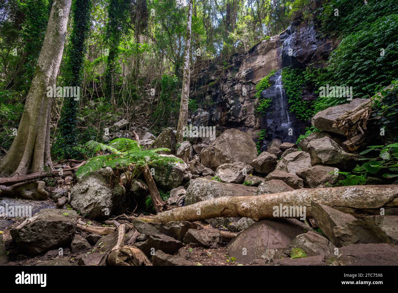 Festoon Falls in Bunya Mountains National Park, Queensland, Australia