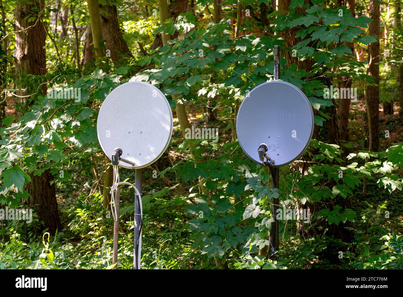 Two old satellite antennas on a metal bracket in front of a forest and ...