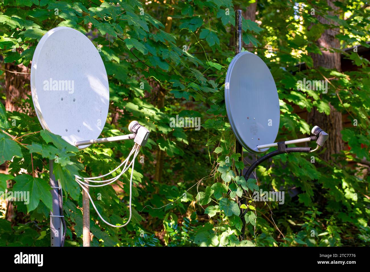 Two old satellite antennas on a metal bracket in front of a forest and there are many old cables
