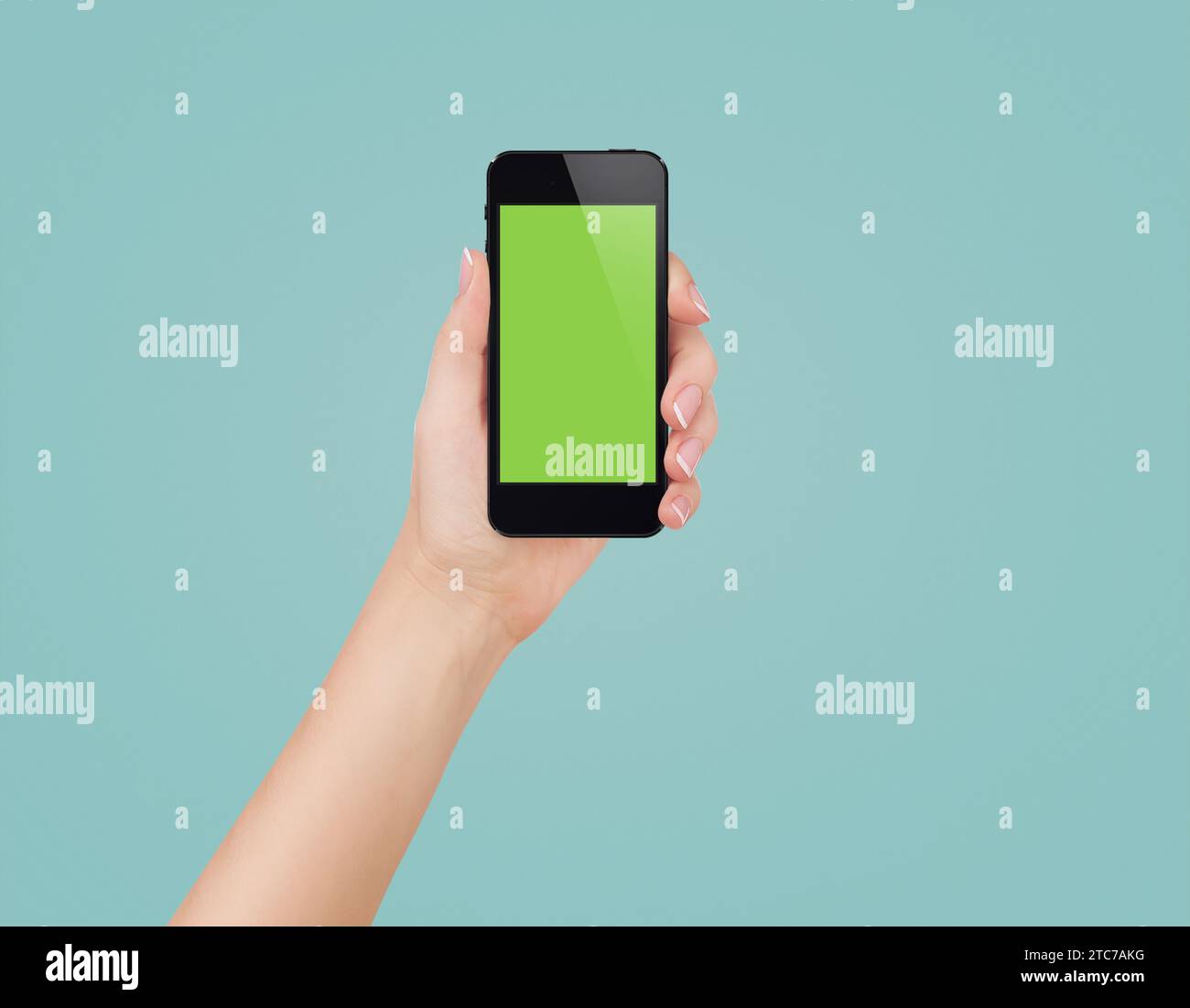 Female hands holding mobile phone with blank screen isolated Stock ...