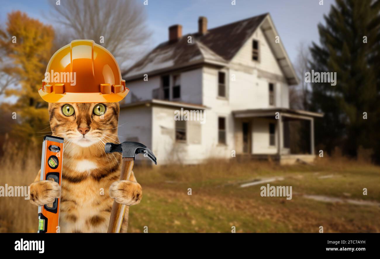 Builder cat with a hammer while repairing a house. Repair and renovation of the façade wall of a residential building with plastering, insulation, pla Stock Photo