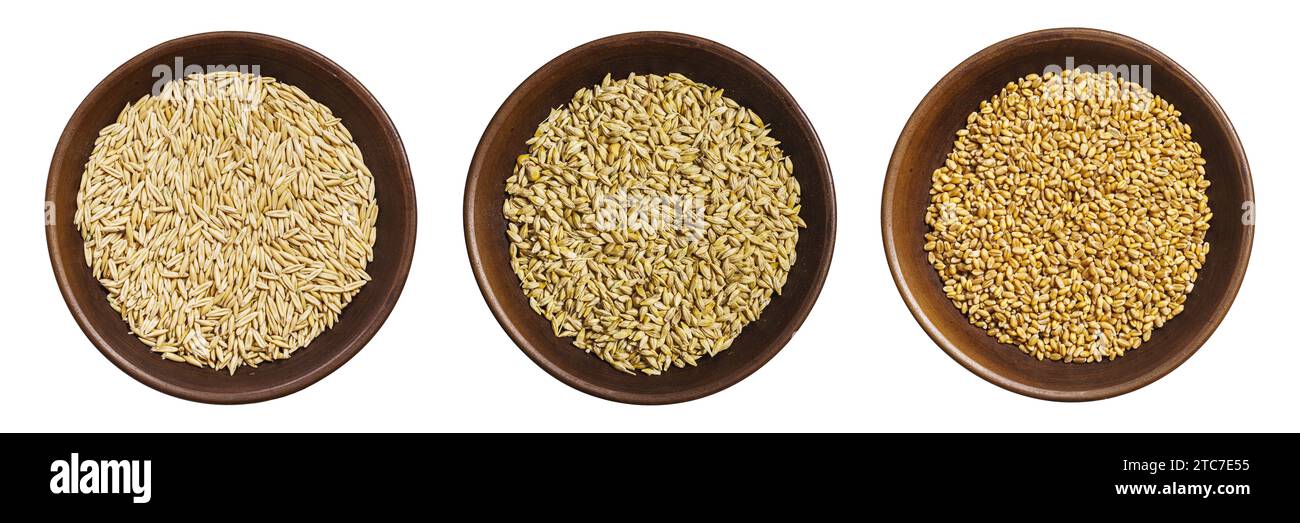 Bowls of oats, barley and wheat grains isolated, top view Stock Photo