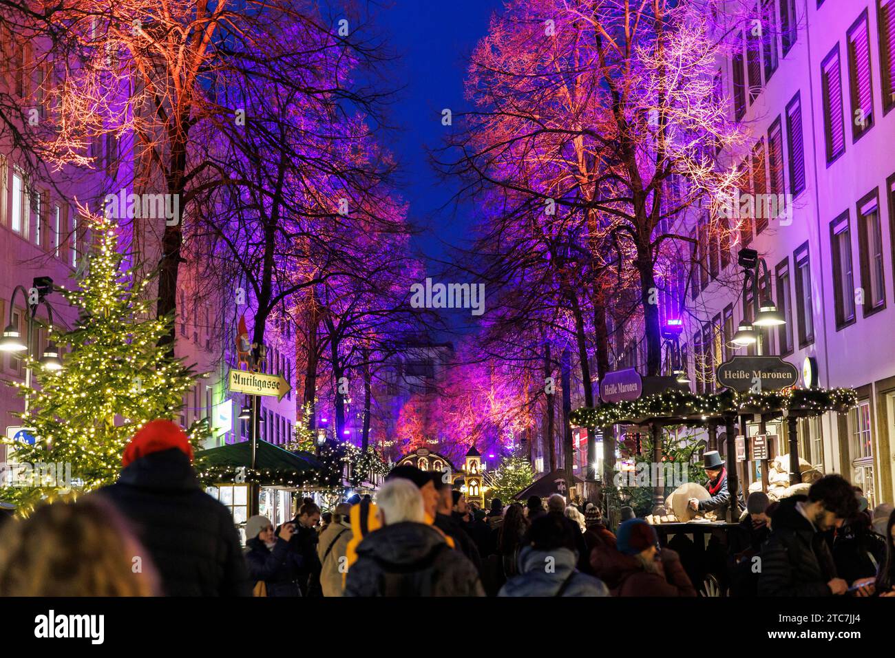 the Christmas market Heinzels Wintermaerchen on Alter Markt and Heumarkt in the historic town, illuminated trees on the street Unter Kaester, Cologne, Stock Photo