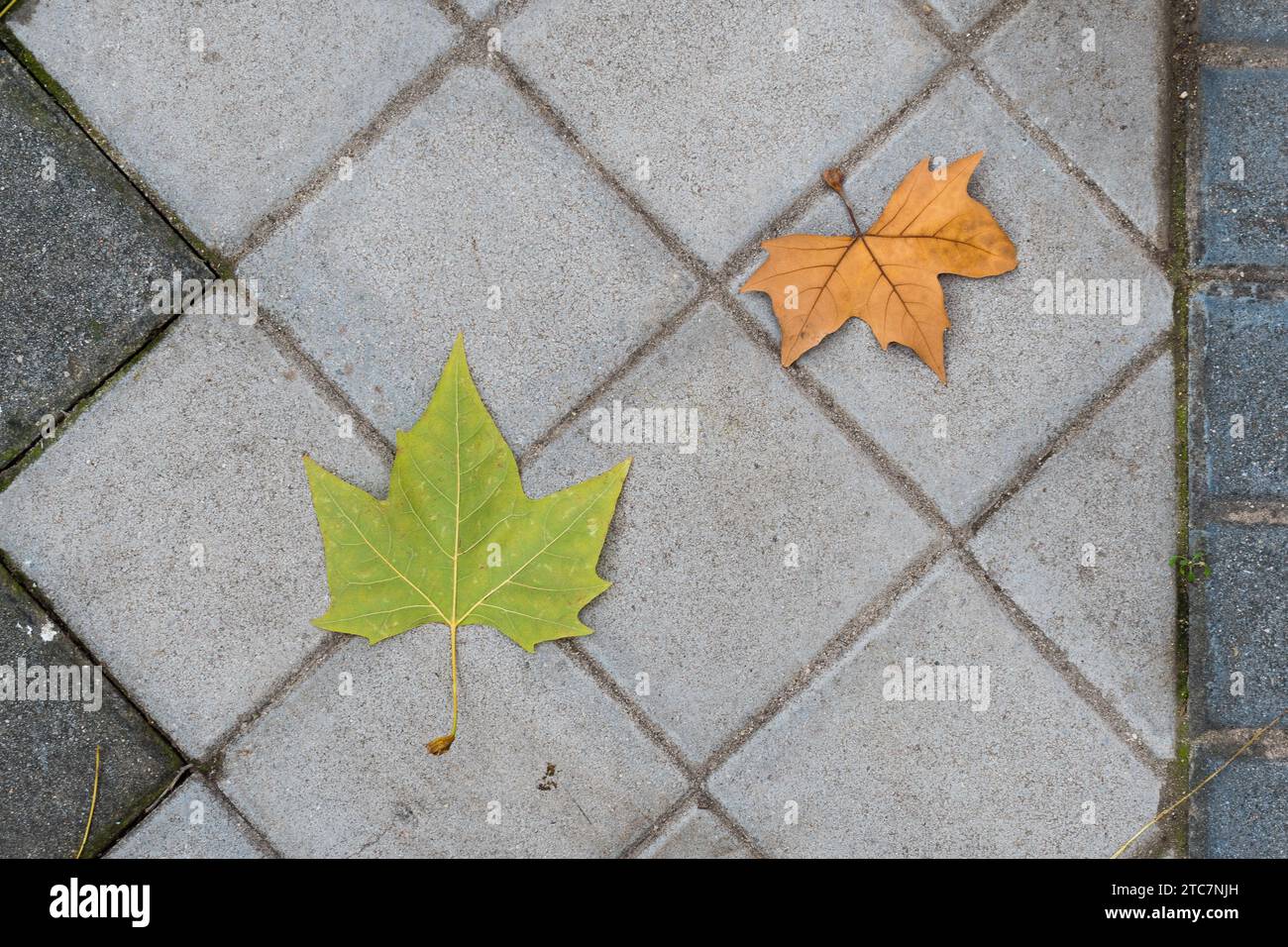 Urban texture for backgrounds wallpaper Stock Photo - Alamy