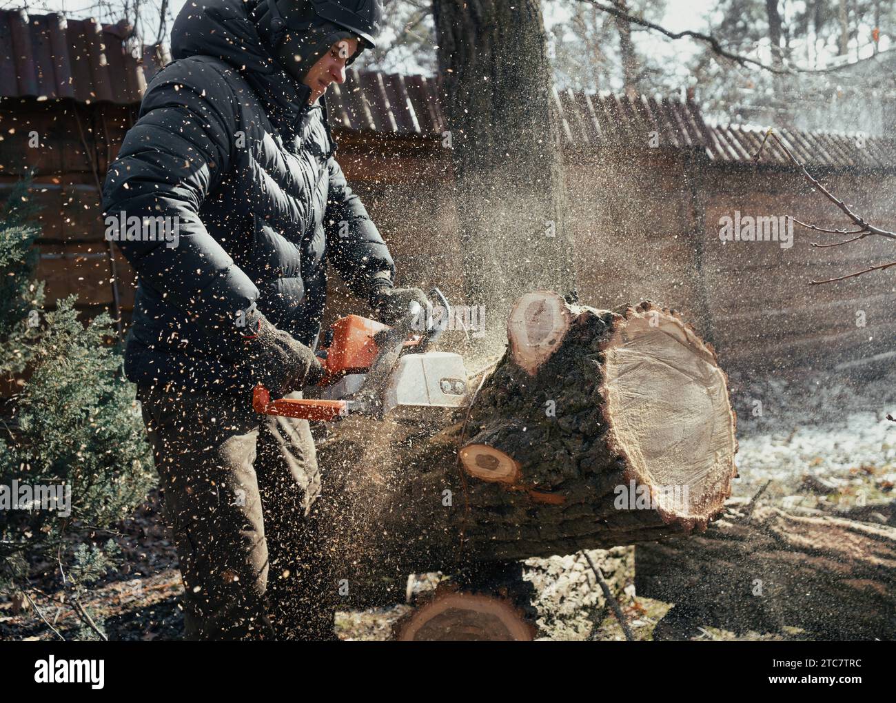 Big wood cutter outlet