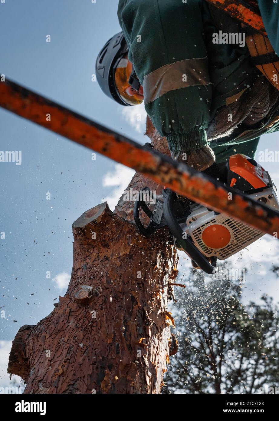 Arborist tree hi-res stock photography and images - Alamy