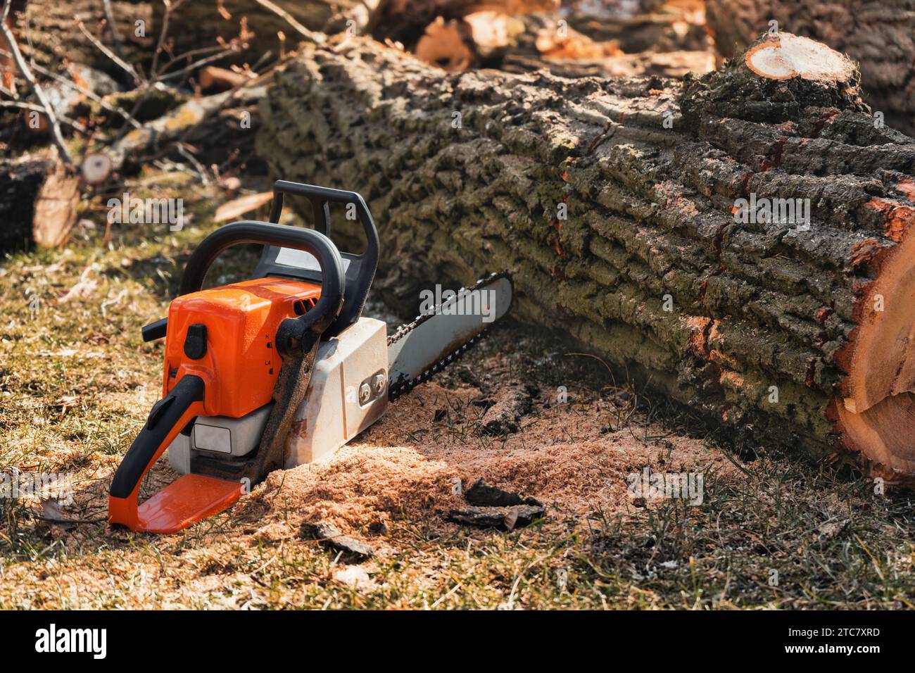 Worker chainsaw sawdust hi-res stock photography and images - Alamy