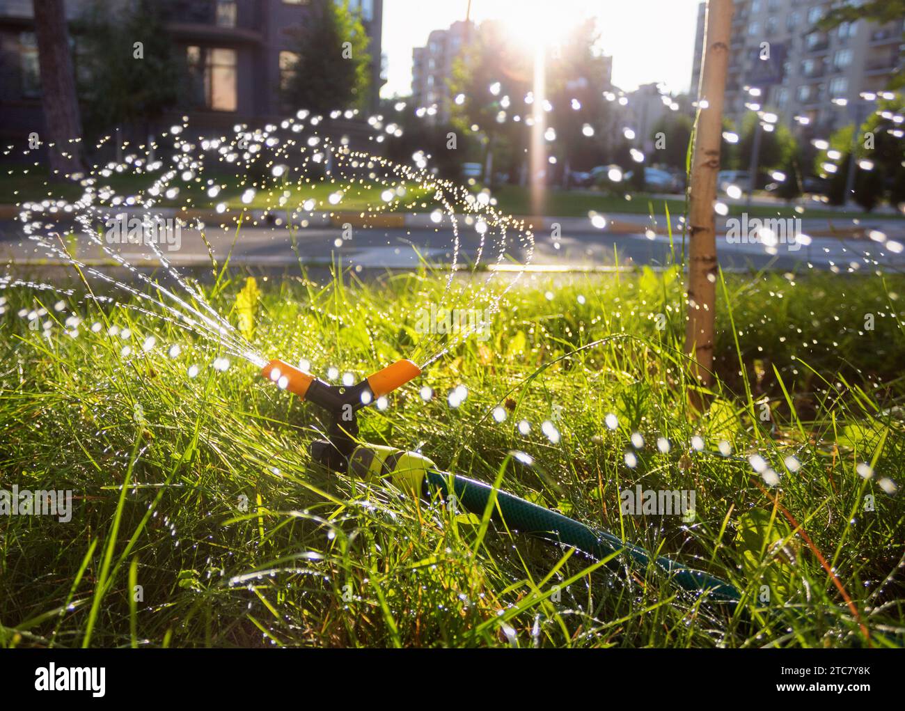 Automatic irrigation system spraying water on lawns to nourish the