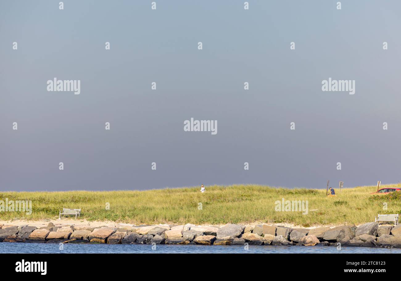 a couple of people walking in beach grass at gin beach, montauk Stock Photo