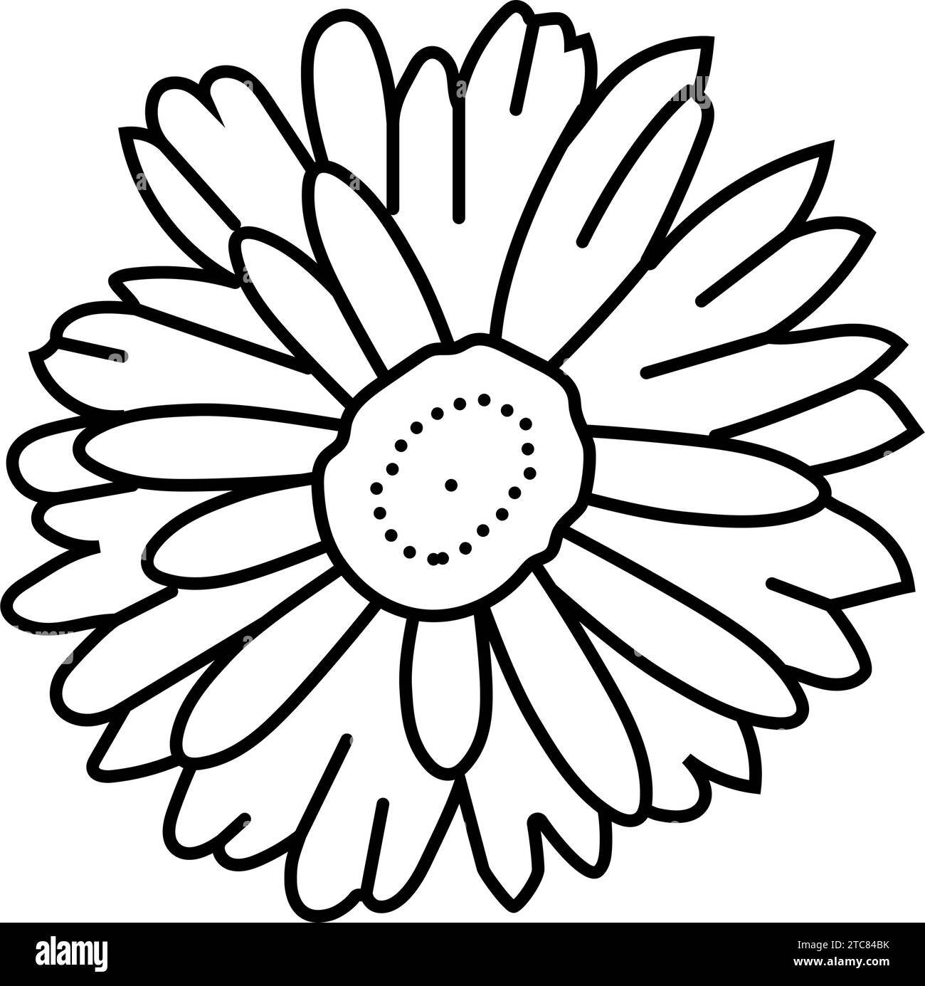 Gerber Daisy Black And White Clip Art Gerbera Daisy In Pot Black And