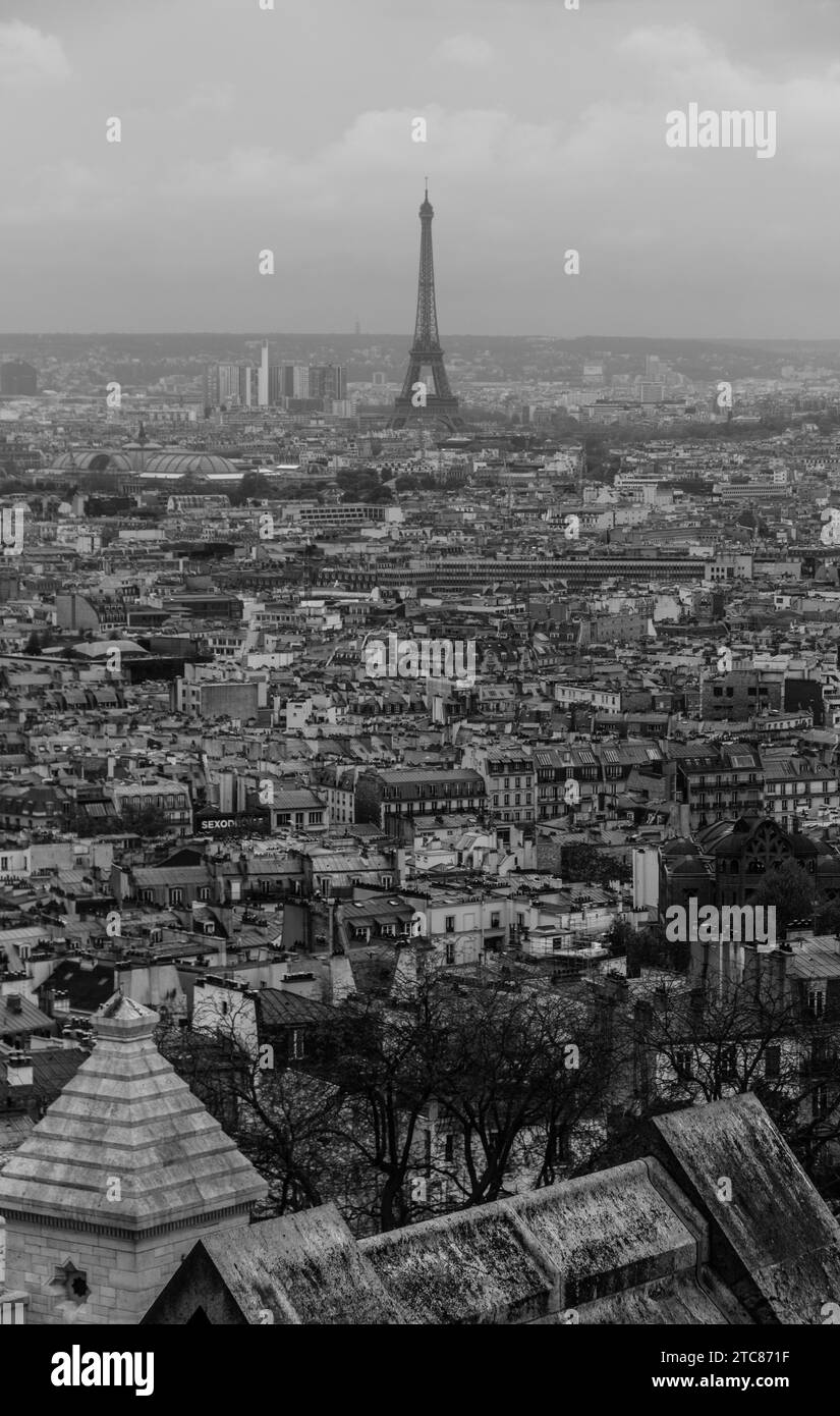 A black and white picture of the rooftops of Paris overlooked by the Eiffel Tower Stock Photo