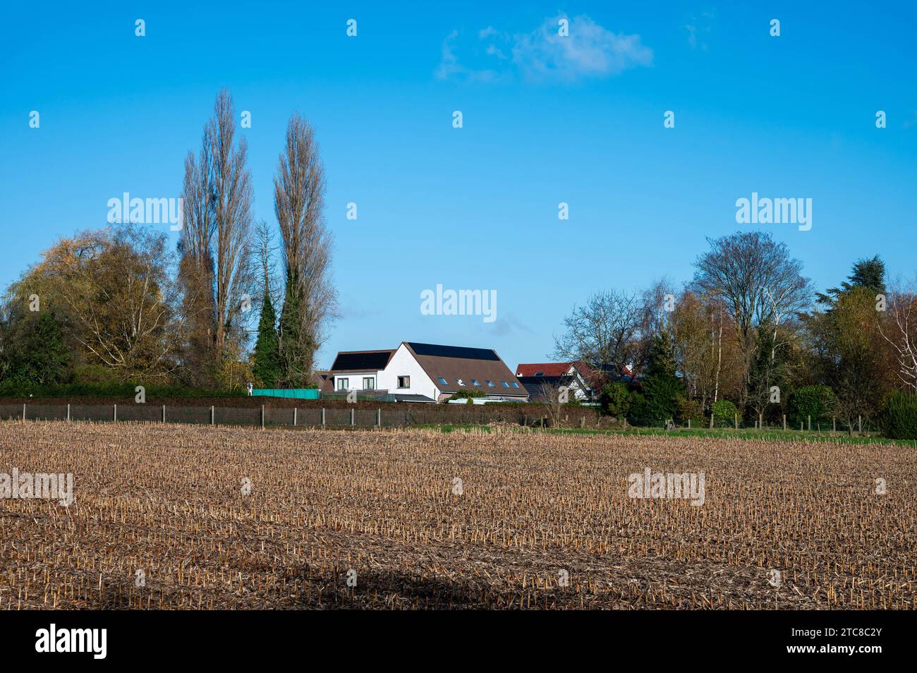 Harvested corn field and farmhouse against blue sky around Meise, Flemish Brabant Region, Belgium Credit: Imago/Alamy Live News Stock Photo