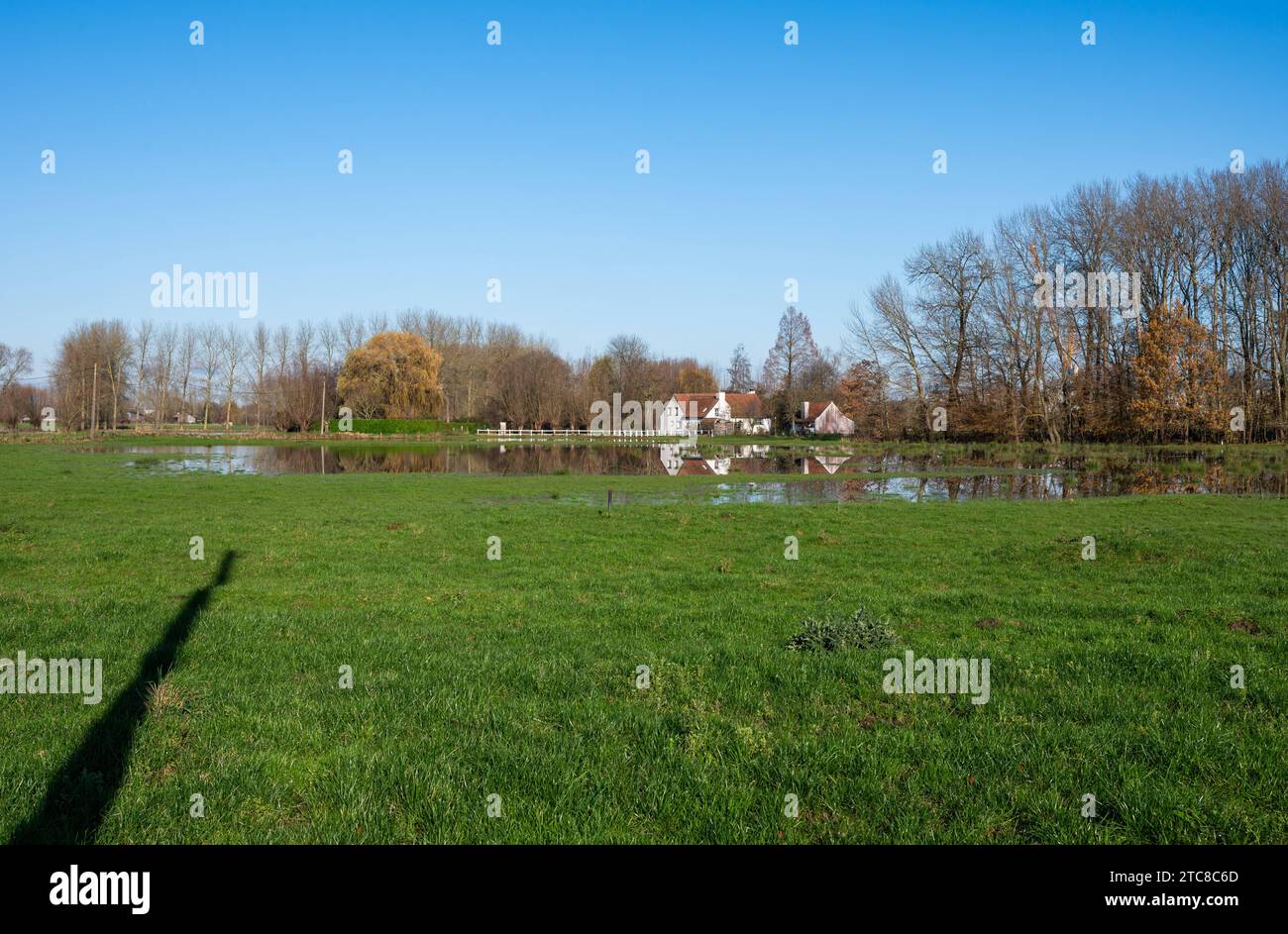 Flooded meadows with houses reflecting in the water, Imde, Meise, Belgium Credit: Imago/Alamy Live News Stock Photo