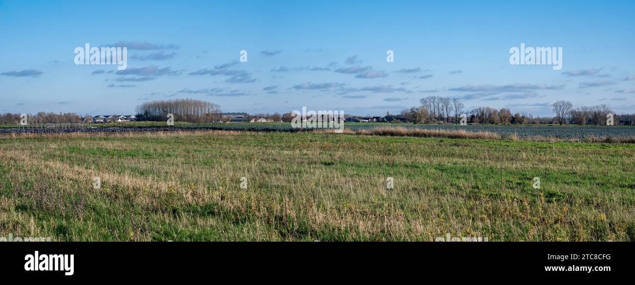 Extra large panoramic view over green meadows and cereal agriculture fields, Londerzeel, Belgium Credit: Imago/Alamy Live News Stock Photo
