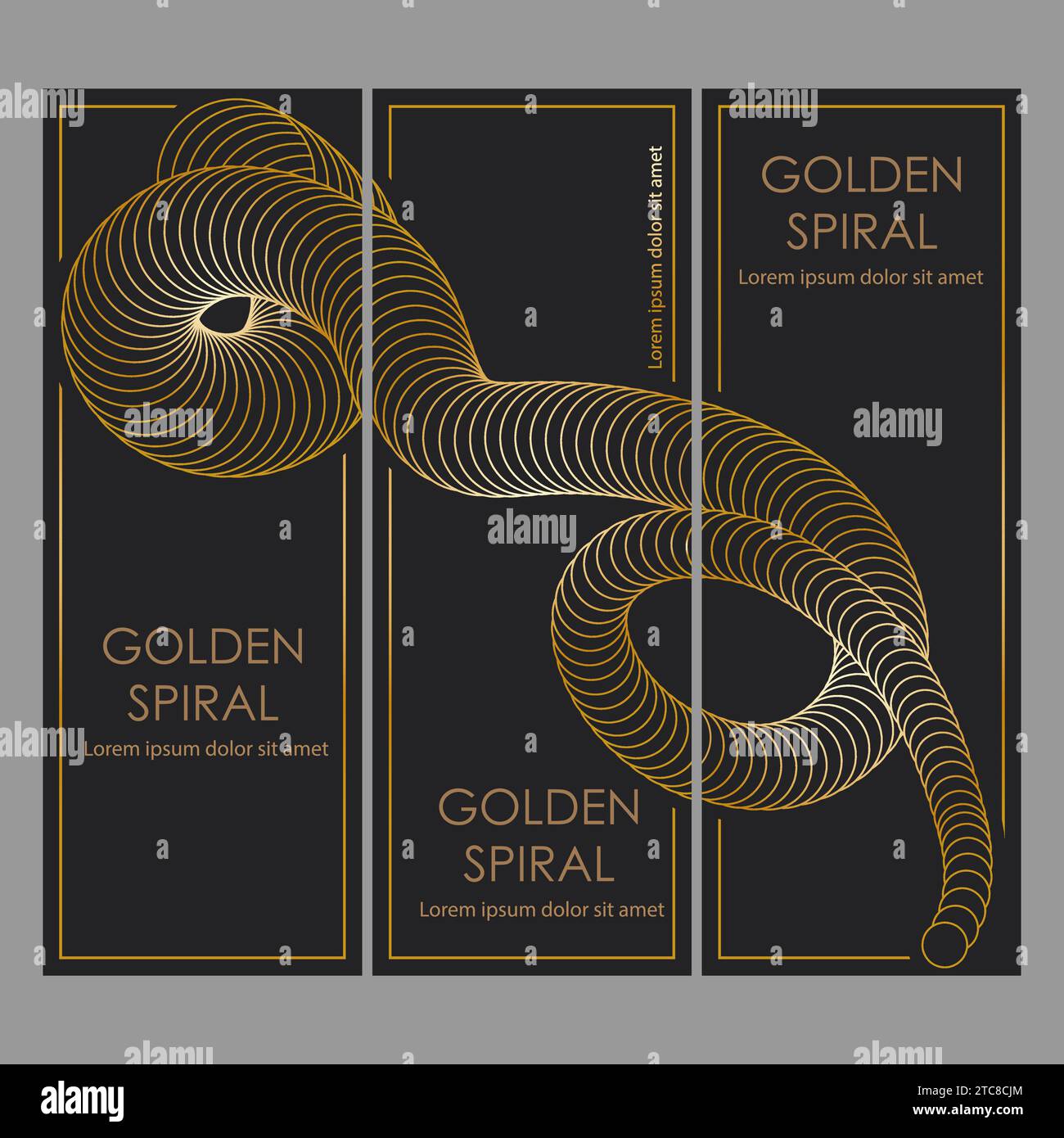 The golden spiral. A design template for the design of a cover, banner, poster. A luxurious composition for interior design, decorations and creative Stock Vector