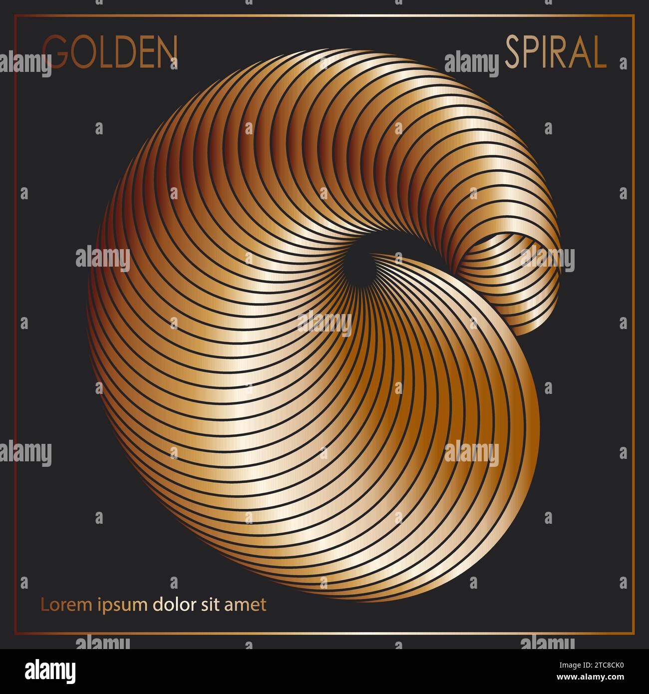 The golden spiral. A design template for the design of a cover, banner, poster. Linear composition for interior design, decorations and creative ideas Stock Vector