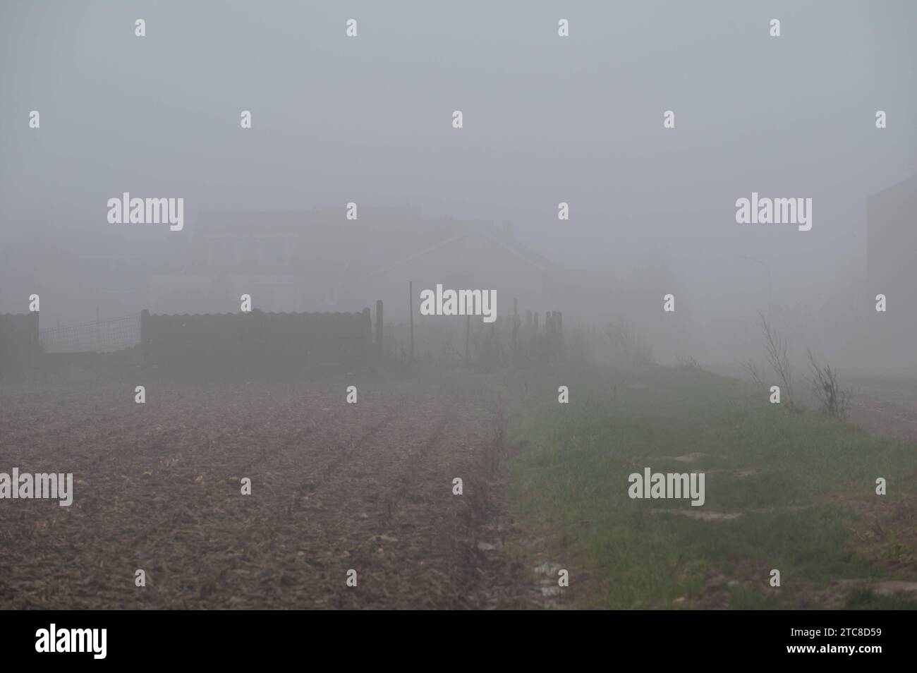 Foggy view over harvested corn fields and gardens at the Flemish countryside around Dilbeek, Brabant, Belgium Credit: Imago/Alamy Live News Stock Photo