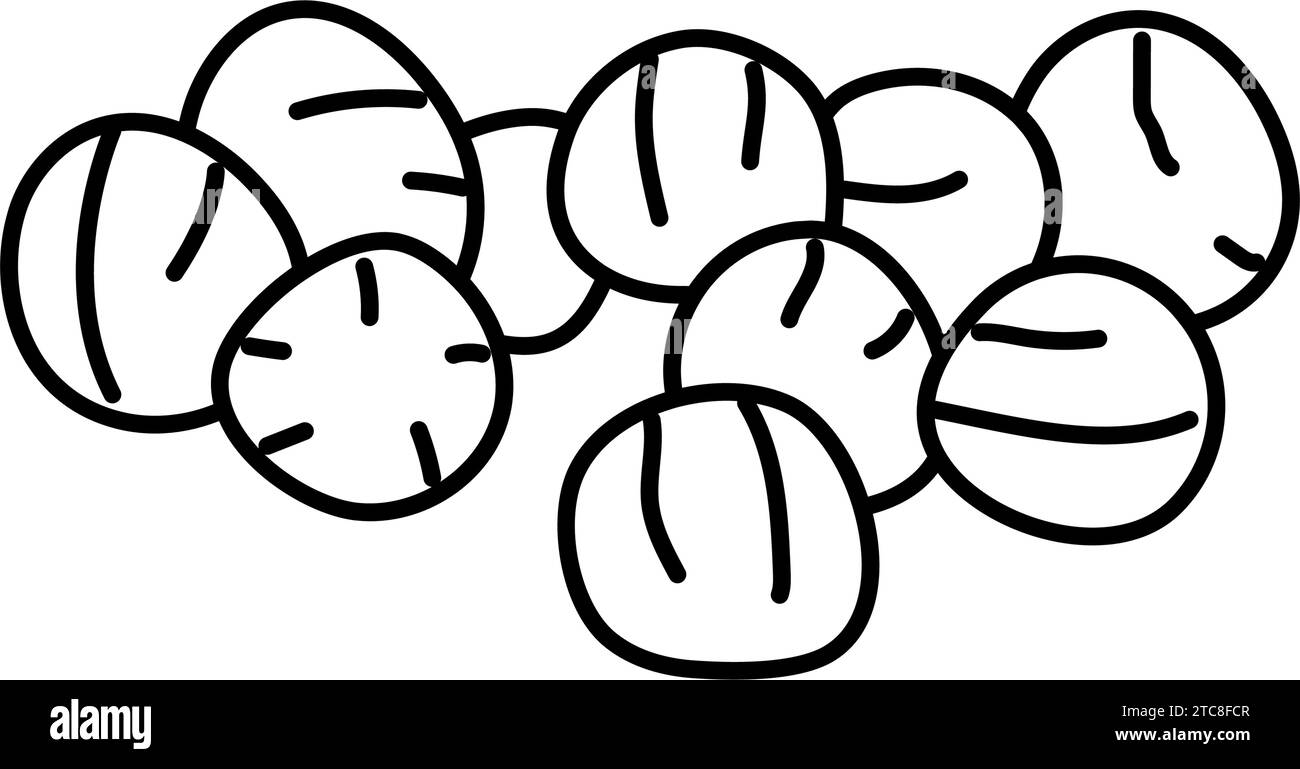 coriander food herb line icon vector illustration Stock Vector Image ...
