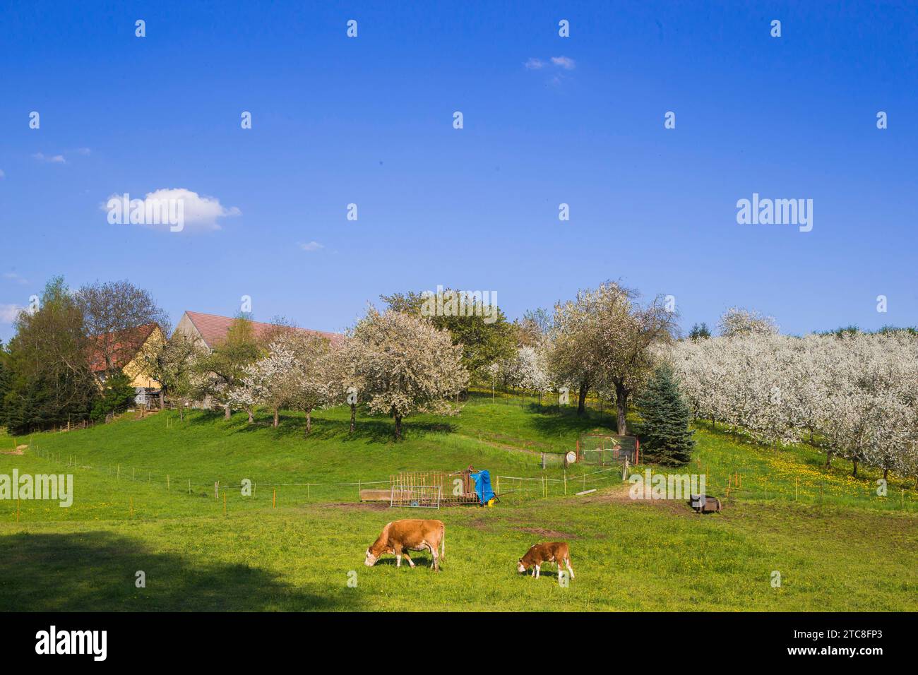 Orchard sprawl hi-res stock photography and images - Alamy