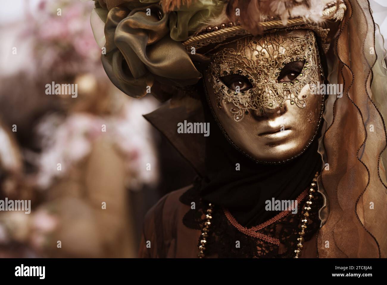 Beauty, Venedig Karneval, Karneval Venedig, Sinnlichkeit, Schönheit, Erotik,   Carnevale di Venezia,  Masken in Venedig,  Maskerade Venice, Stock Photo