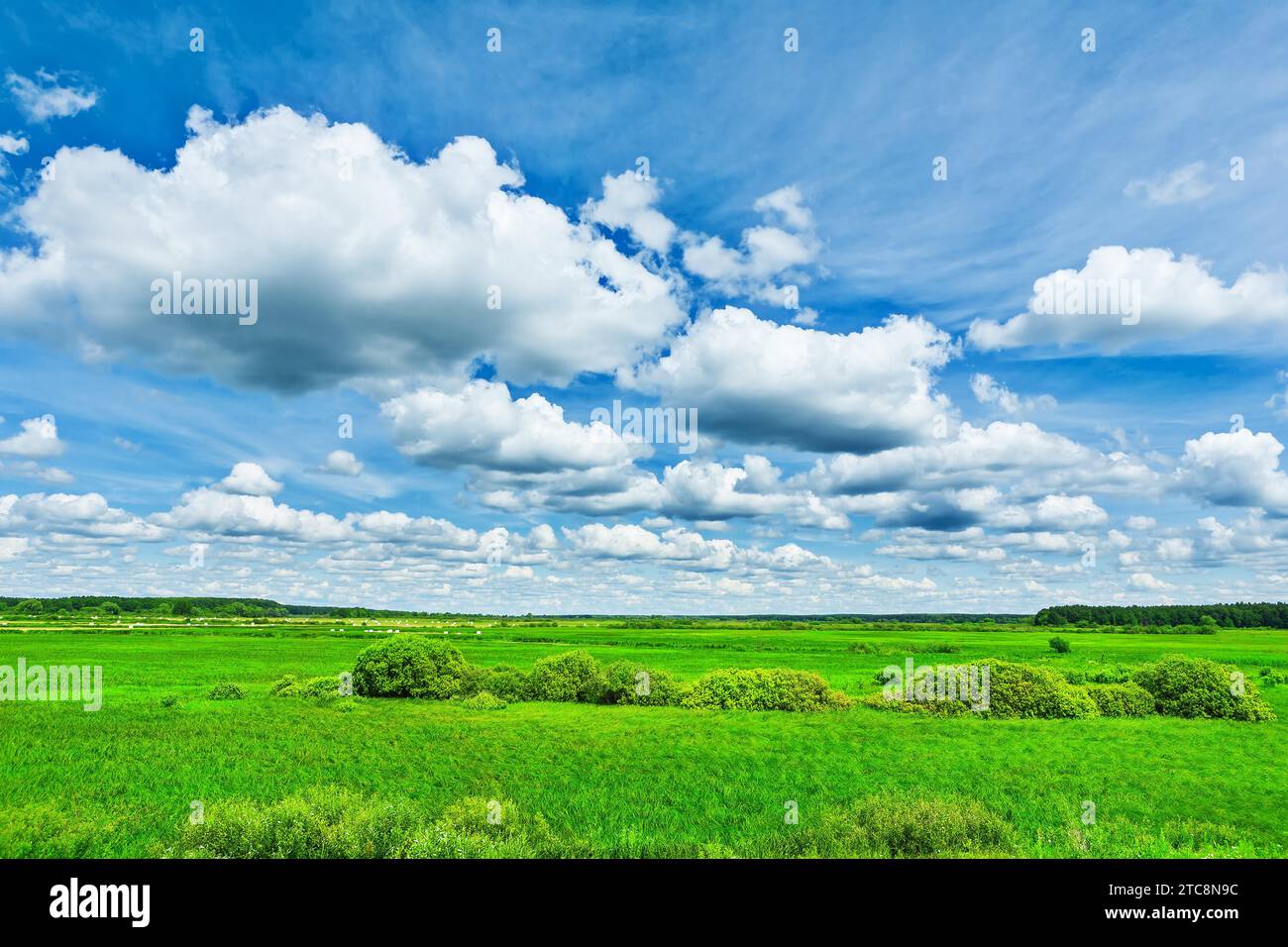 View on green field and beauty cloudy sky Stock Photo - Alamy