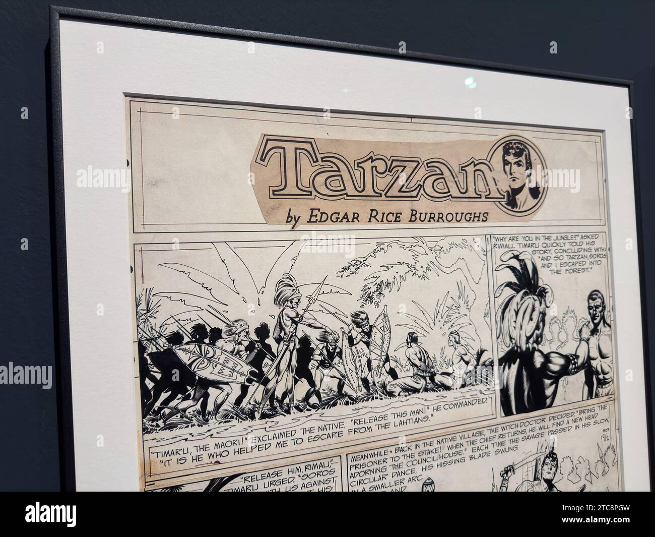 Tarzan´s Origin, Harold Foster after Edgar Rice Burroughs.