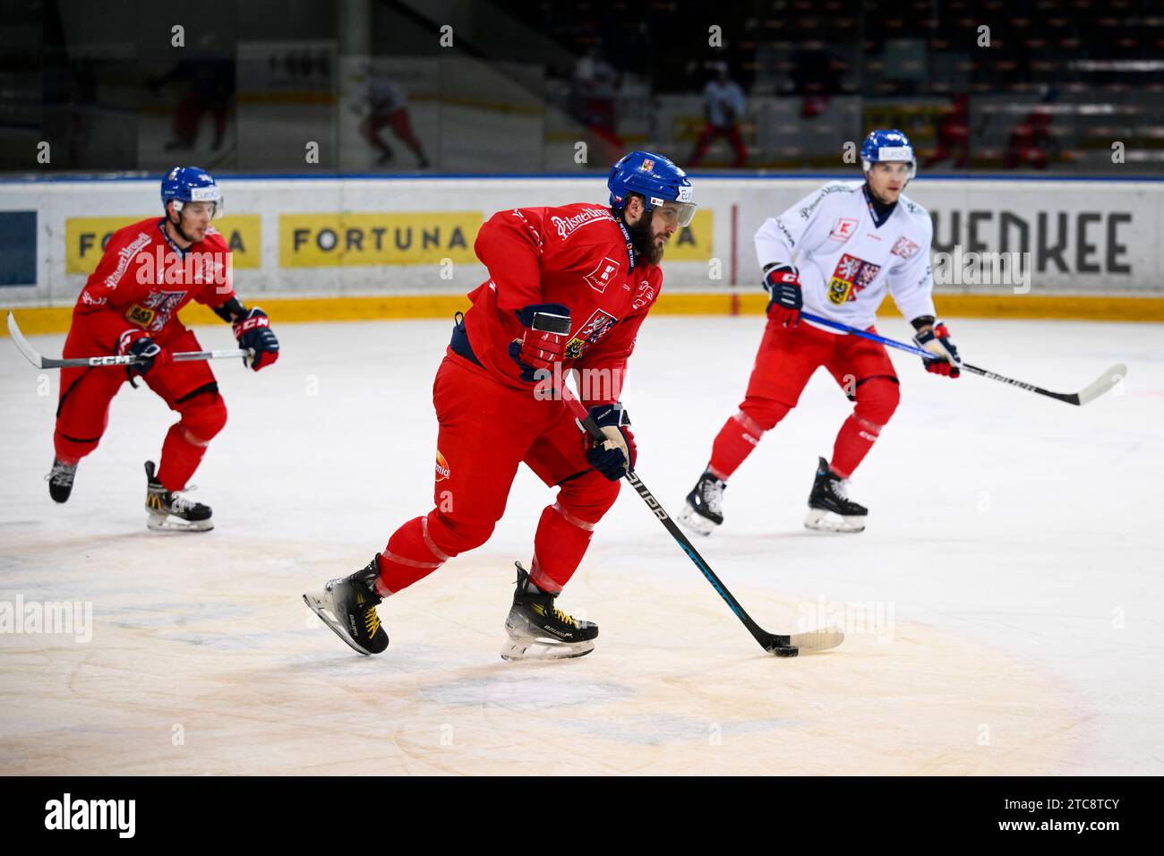 Prague, Czech Republic. 11th Dec, 2023. Tomas Filippi, center, attends the training session of Czech national ice hockey team prior to the Swiss Ice Hockey Games, part of the Euro Hockey Tour, in Prague, Czech Republic, on December 11, 2023. Credit: Ondrej Deml/CTK Photo/Alamy Live News Stock Photo