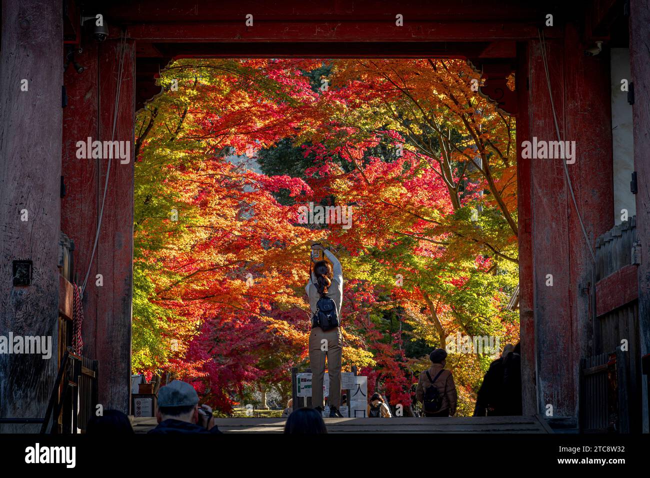 tourists at the entrance to Daigo-ji temple in Kyoto Stock Photo