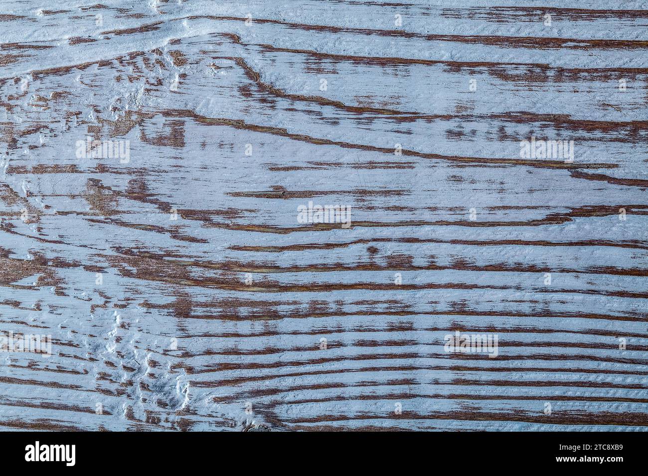 Long-lasting natural wood backcloth Horizontal view Stock Photo