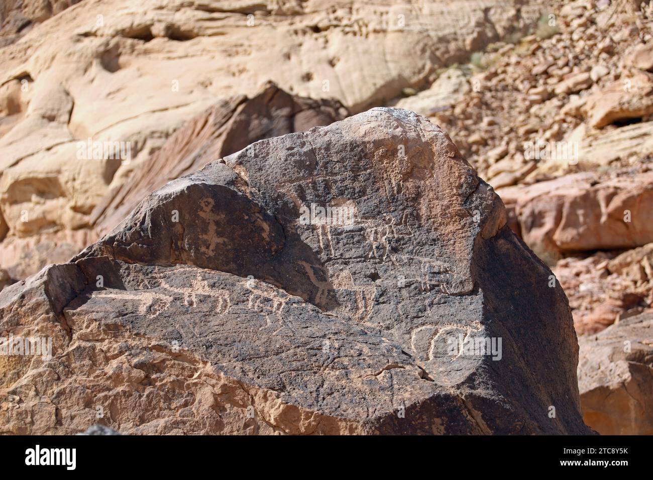 Petroglyphs at Umm Sinman Mountain near Jubbah in Saudi Arabia Stock Photo