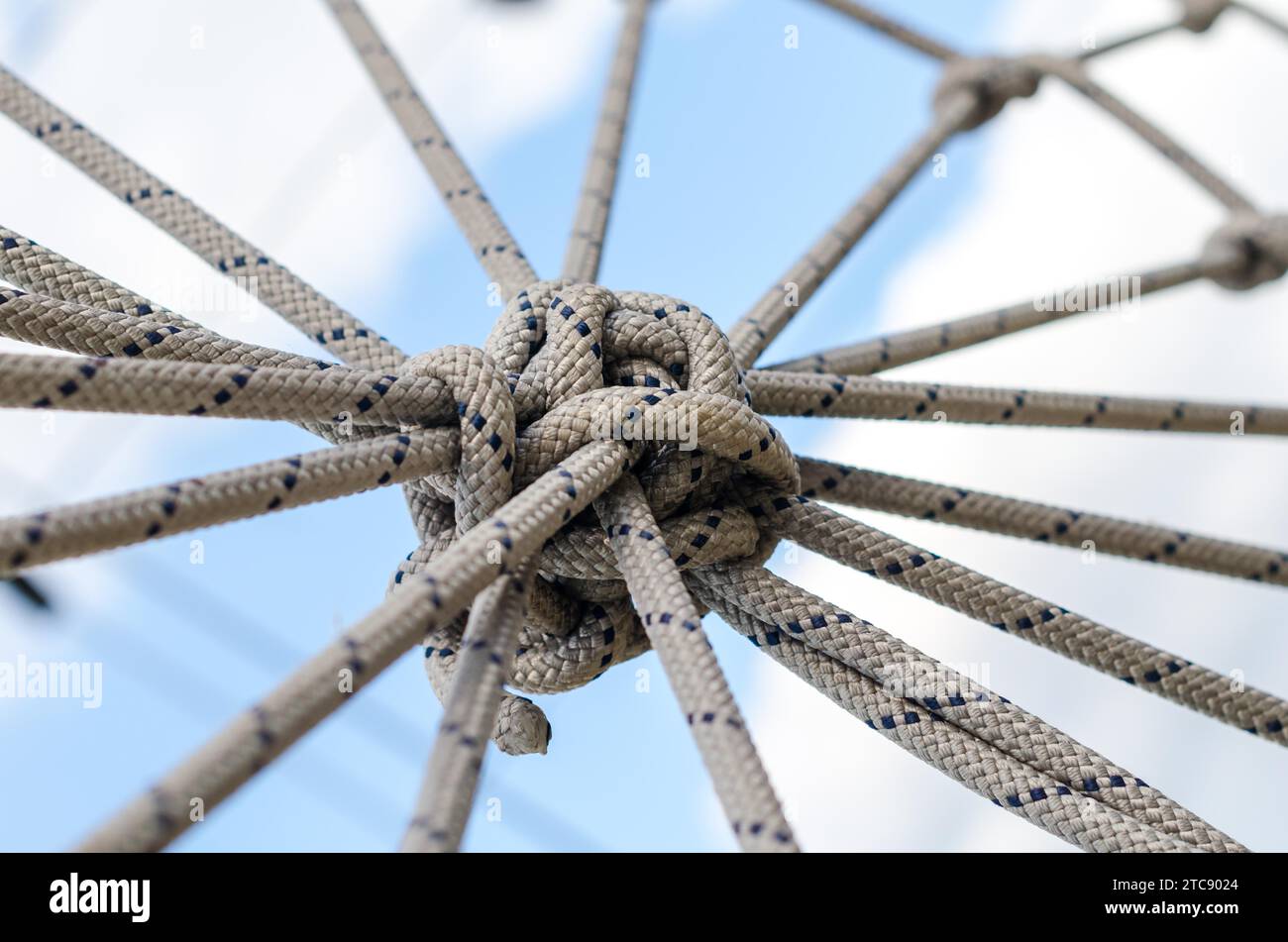 Multiple Knots On Rope Many ropes and one big knot black and white abstract background close ...
