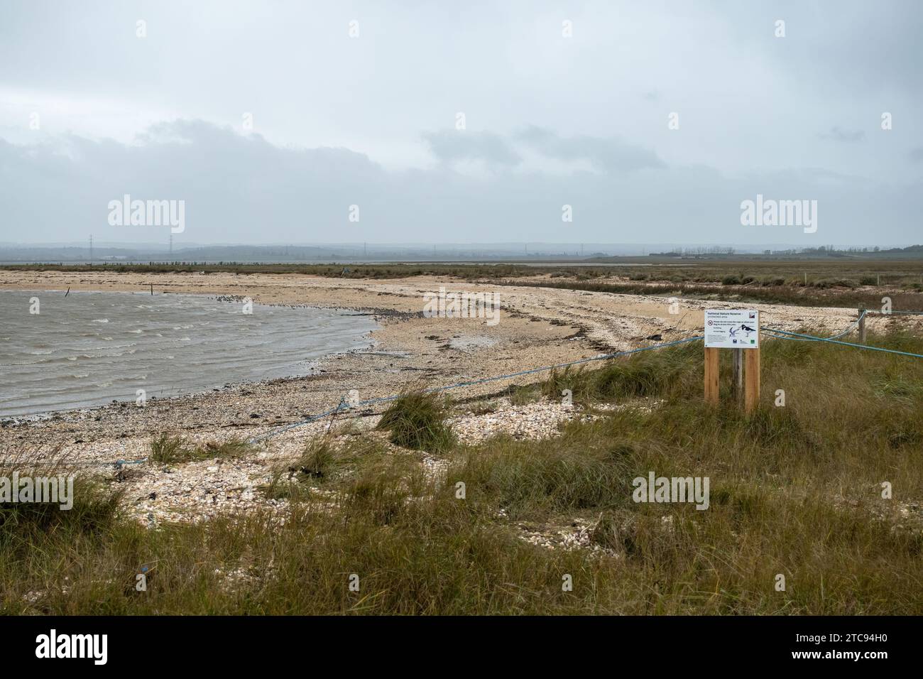 Swale National Nature Reserve, a coastal wildlife site on the Isle of Sheppey, Kent, England, UK, with flock of overwintering birds including dunlin Stock Photo