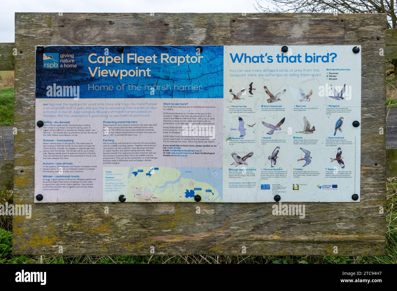 RSPB Capel Fleet Raptor Viewpoint, Isle of Sheppey, Kent, England, UK. Information board showing identification features of raptors (birds of prey) Stock Photo