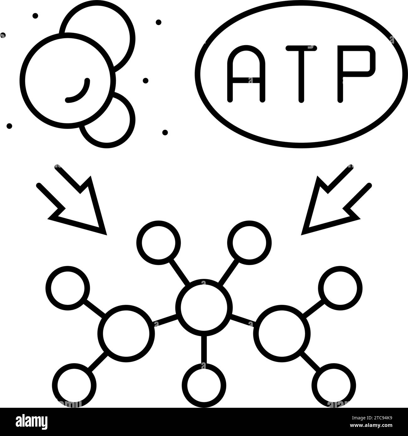 anabolism biochemistry line icon vector illustration Stock Vector