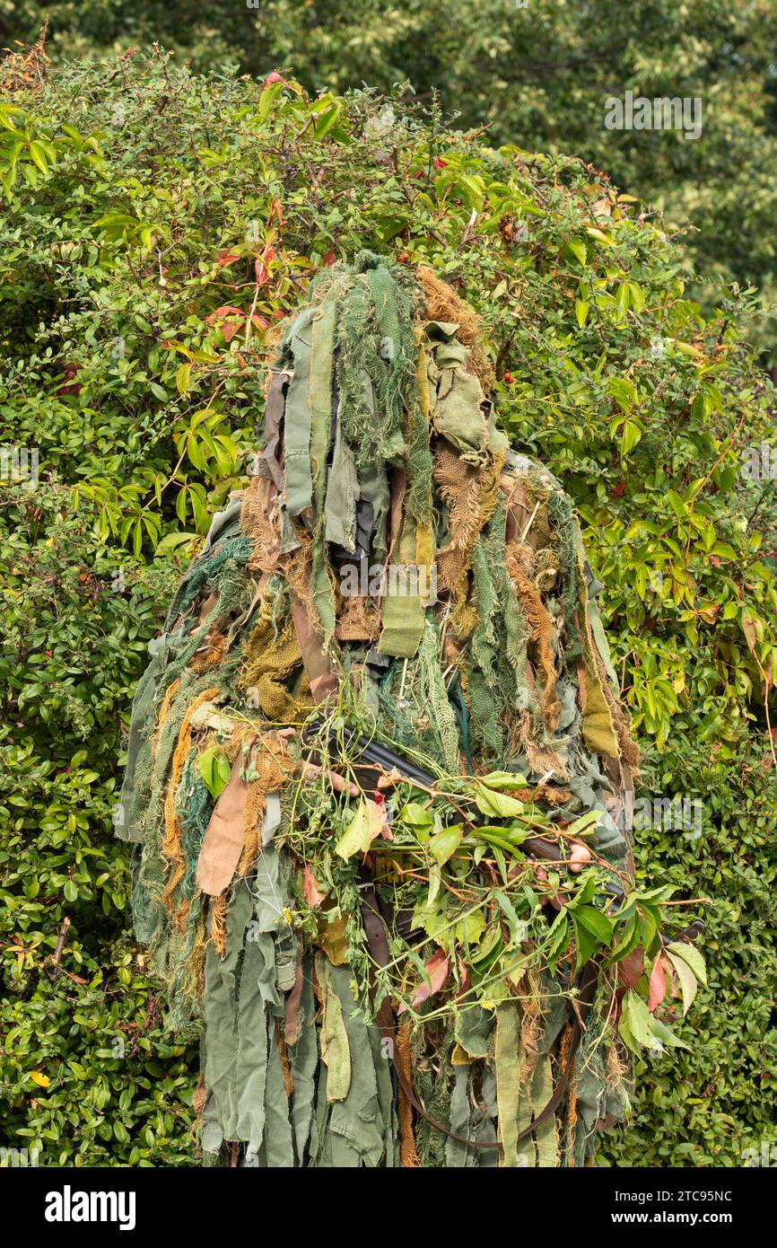 A soldier wearing a military camouflage outfit blending into a green background Stock Photo