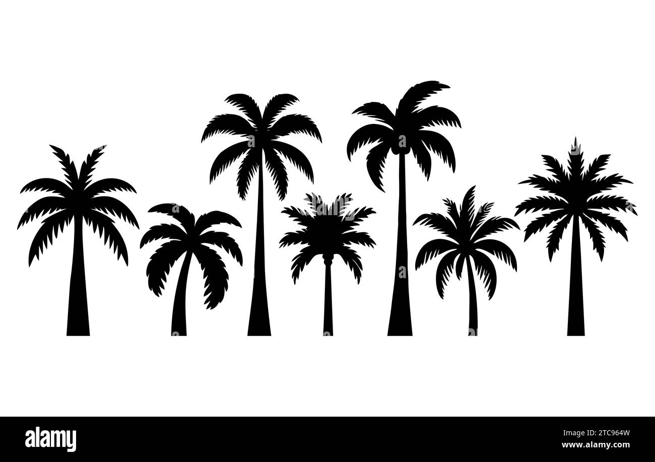 Set of palm tree silhouette. Tropical black jungle plants. Vector on