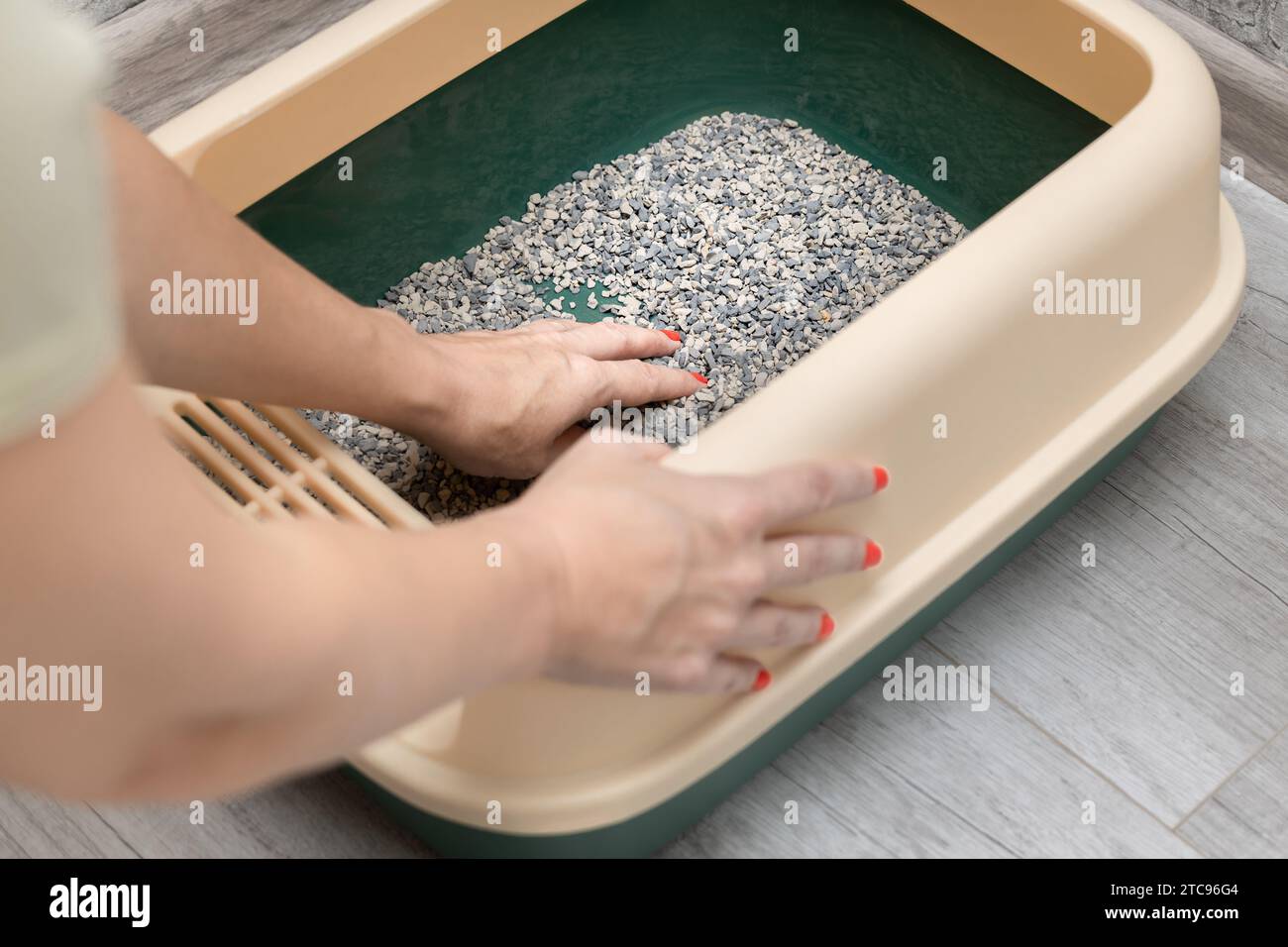 woman pours fresh litter into cat litter box. replacing cat litter
