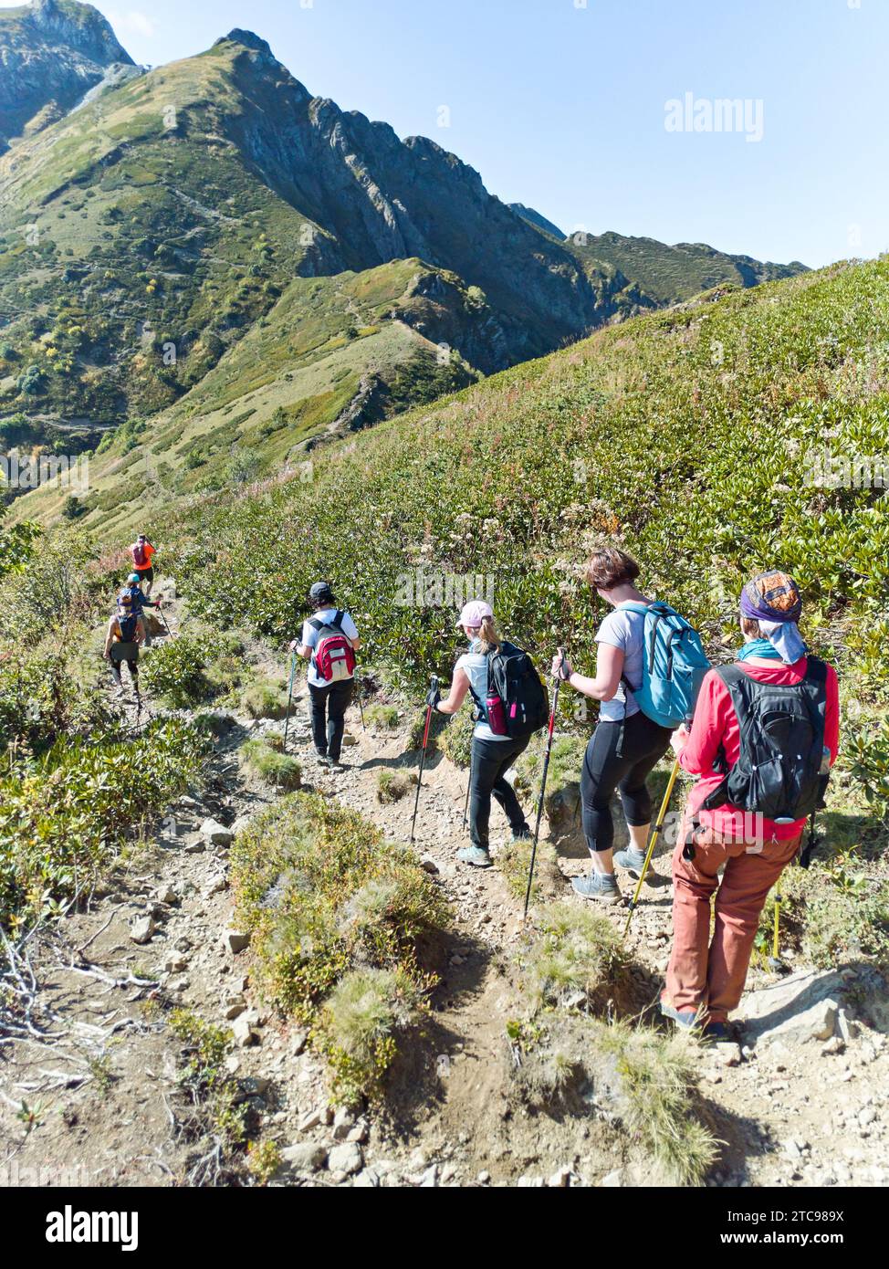 Group of tourists on trekking in the mountains Stock Photo - Alamy
