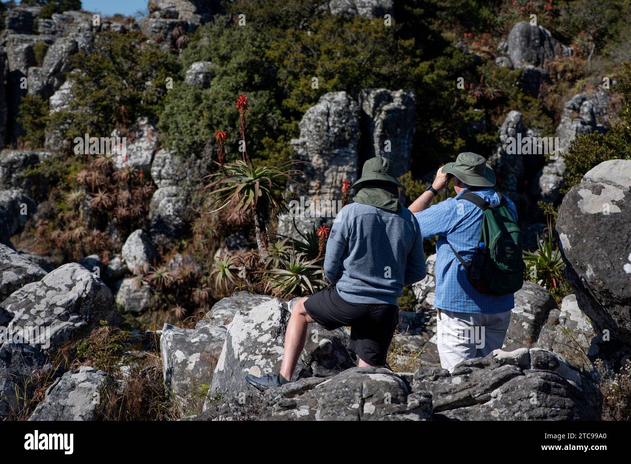 Two men hiking and birding in Kaapsche Hoop Stock Photo