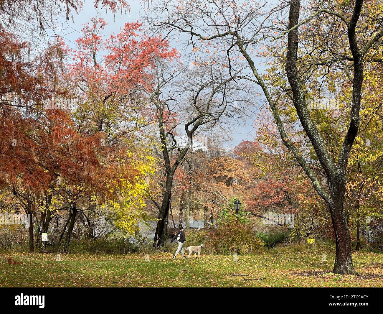 Autumn day in Prospect Park, Brooklyn, New York. Stock Photo