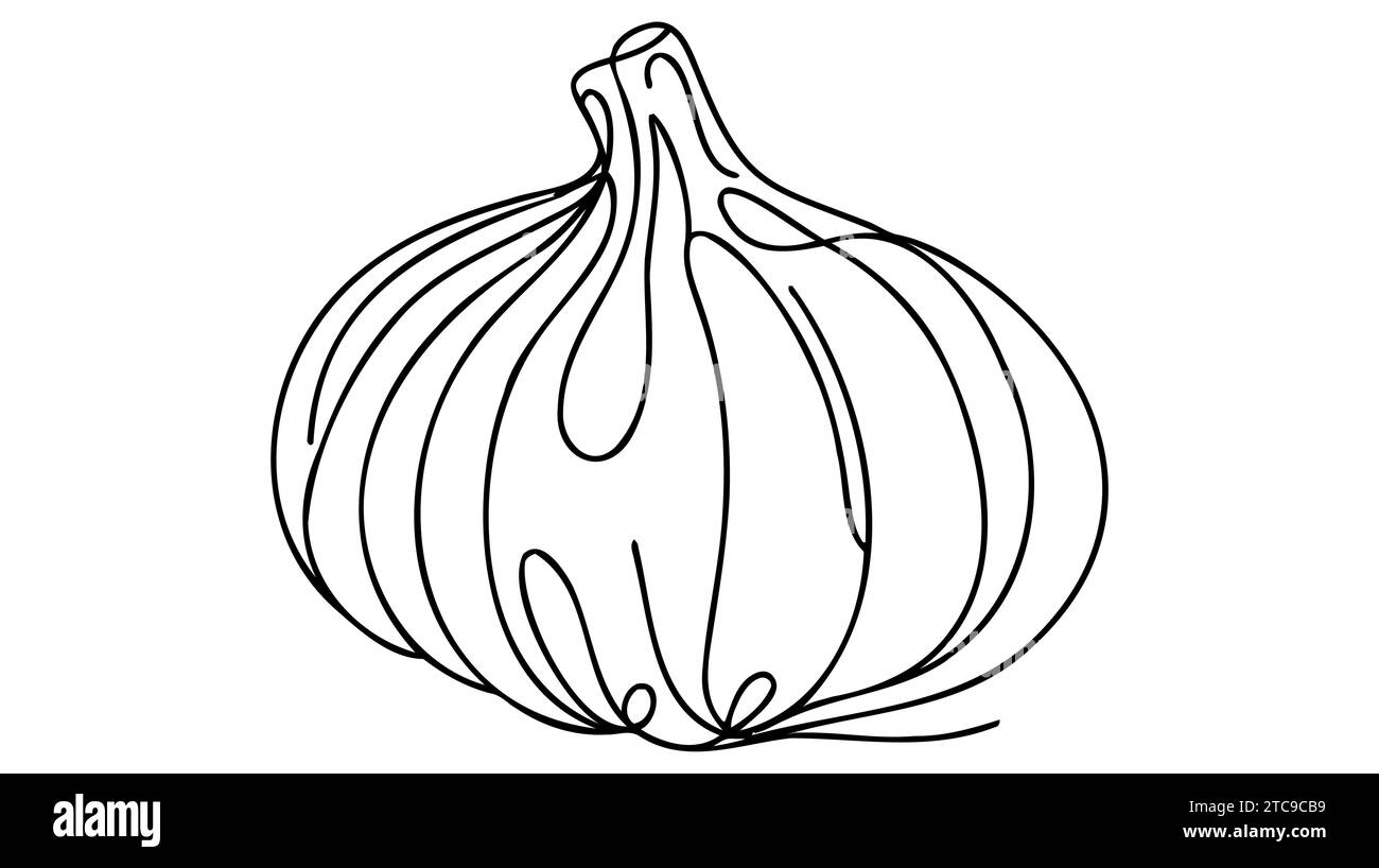 Garlic in continuous line art drawing style. Garlic bulb minimalist black linear sketch isolated