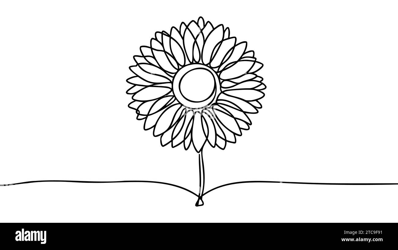 Line art sunflower flower. Continuous one single outline. Vector ...