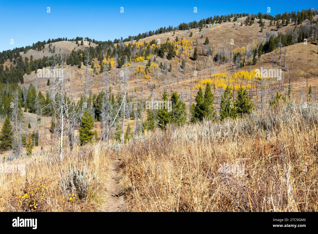 West game creek trail hires stock photography and images Alamy
