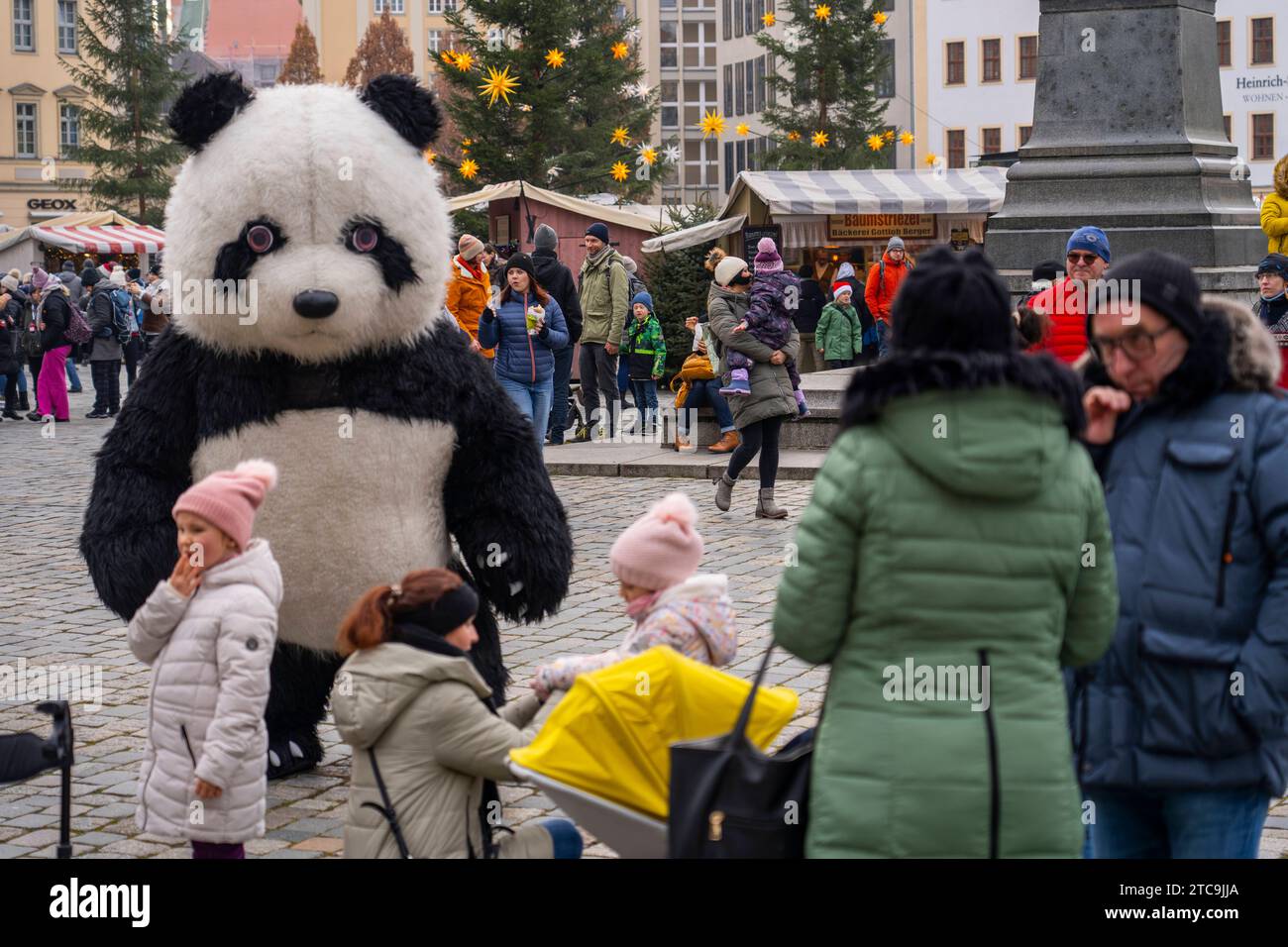 Ein überlebensgroßer Pandabär auf dem Neumarkt vor der Frauenkirche in der Altstadt in Dresden. *** A larger-than-life panda bear on the Neumarkt in front of the Frauenkirche in Dresdens Old Town Credit: Imago/Alamy Live News Stock Photo