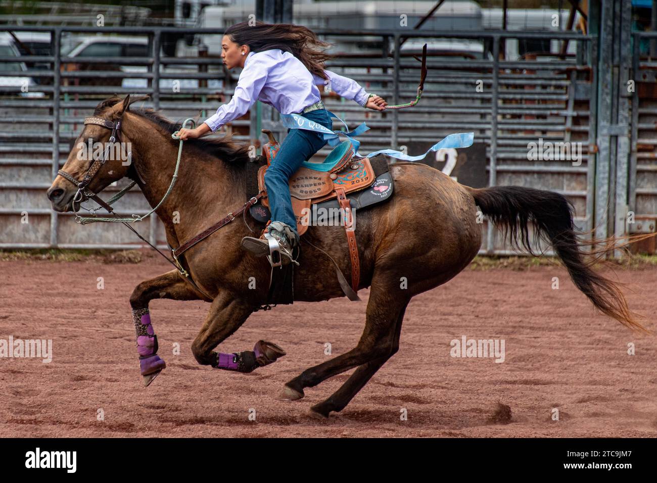 Receation Rodeo Barrel Racing 2020 Pana'Ewa Stampede Rodeo Stock Photo - Alamy