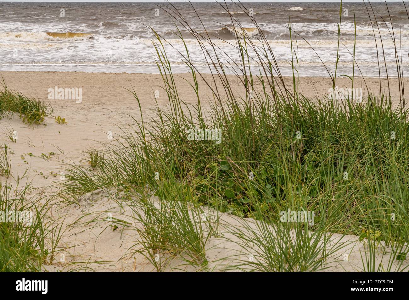 Ocean Isle Beach, North Carolina Stock Photo Alamy